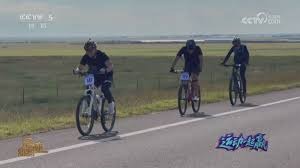 corporate-trust-elements